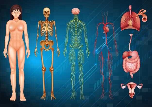 Нервная система: чувствительность и регуляция физиологических процессов