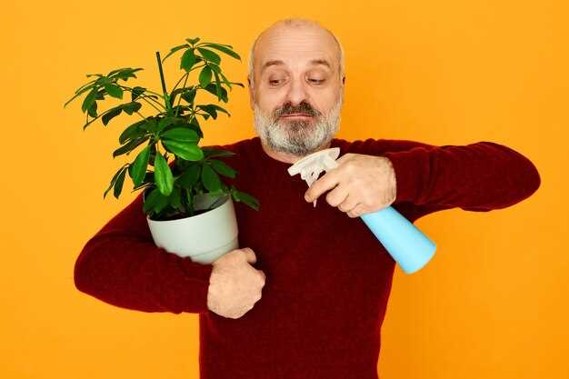 Мед и топленое масло: комбинация для укрепления дыхательных путей